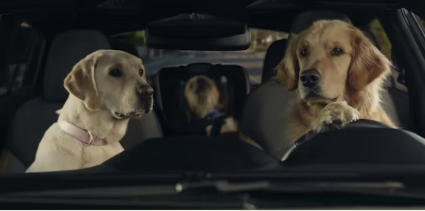 Pre-Freakin’ Menopause: Puffy Faces, Dog Commercial Tears & Marriage WTFs.